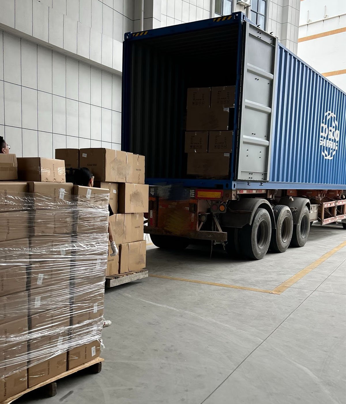 Packing and container loading for export